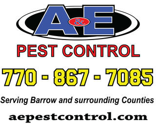A&E Pest Control